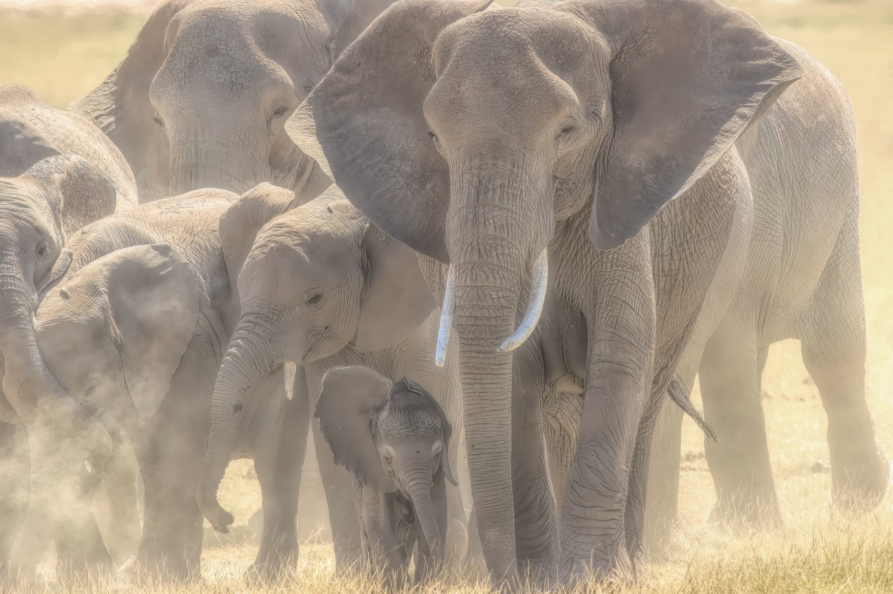 Theodora and Her Family