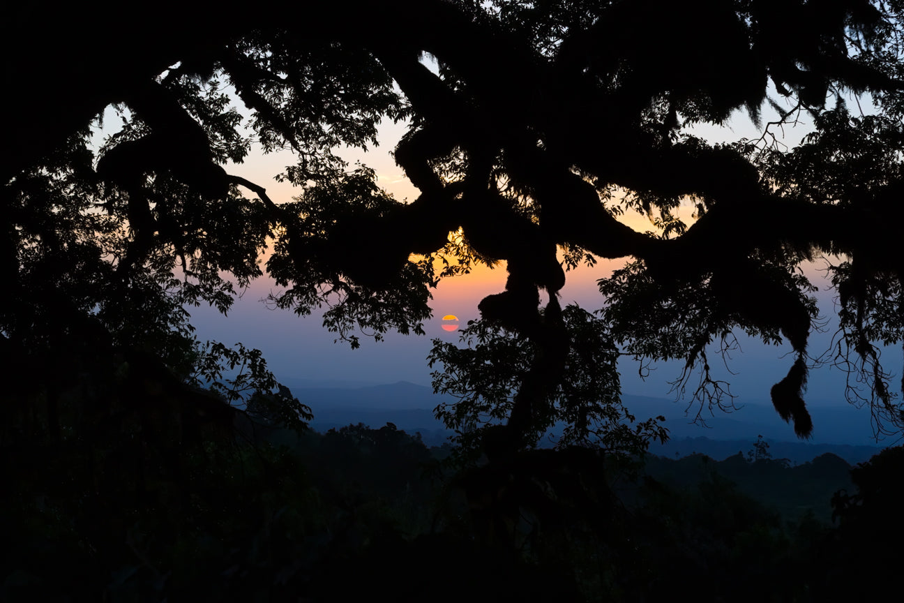 Sunrise on the Crater Highlands