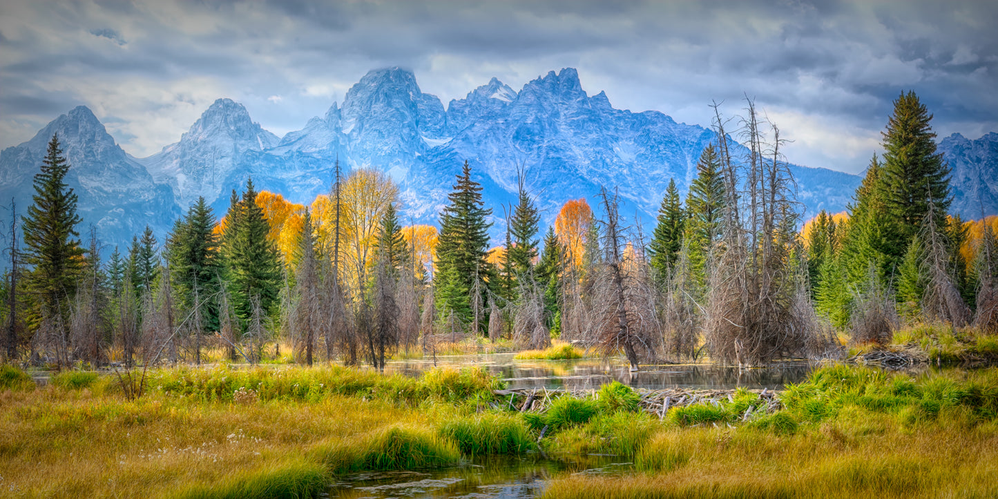 Schwabacher's Beaver Pond