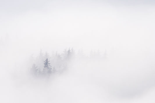 Peaking through the Clouds