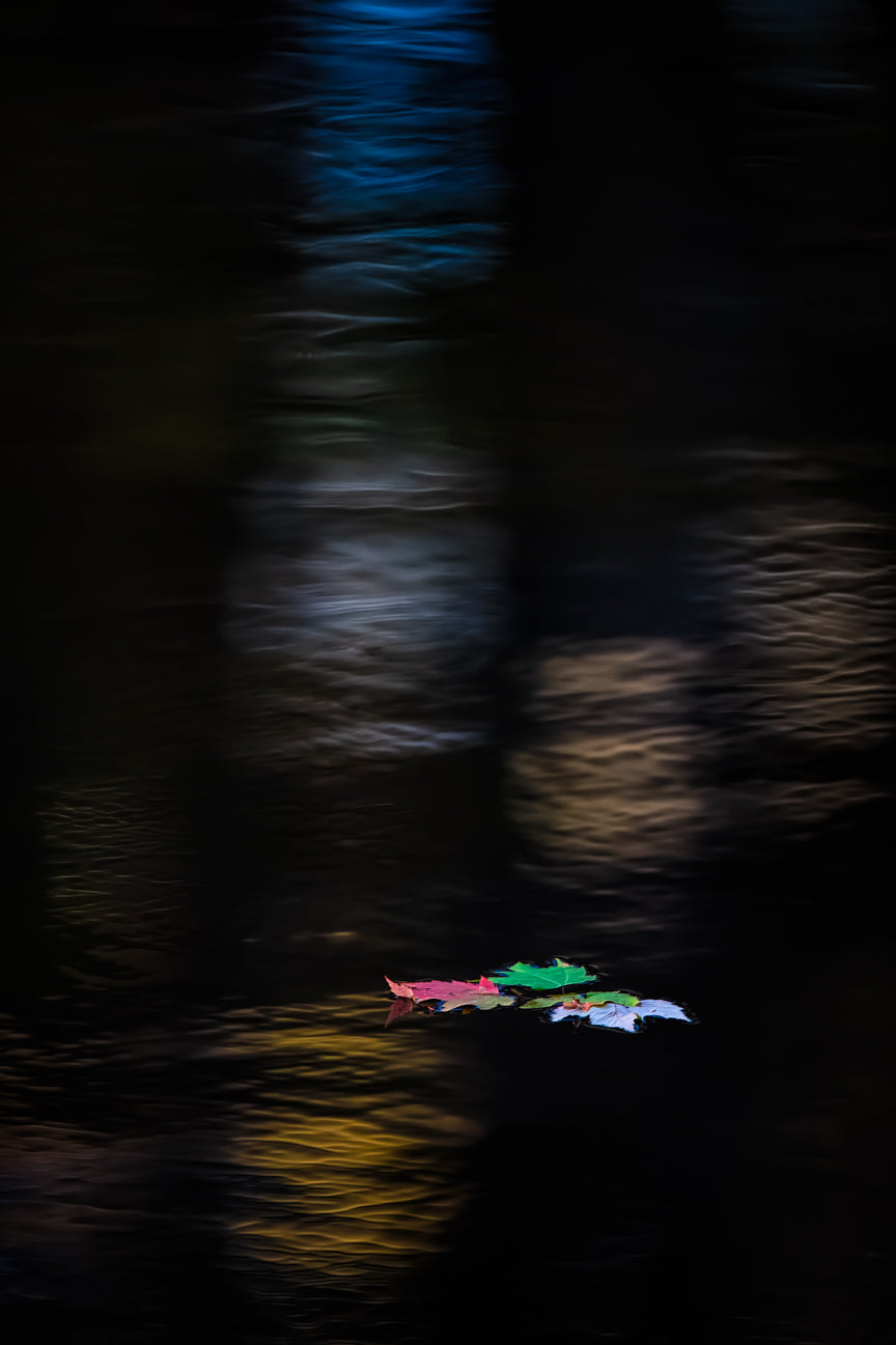 Floating Leafs at Mabry Mill