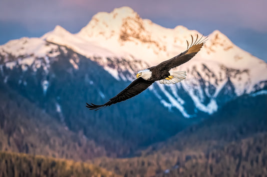 Eagle's Mountain Pass
