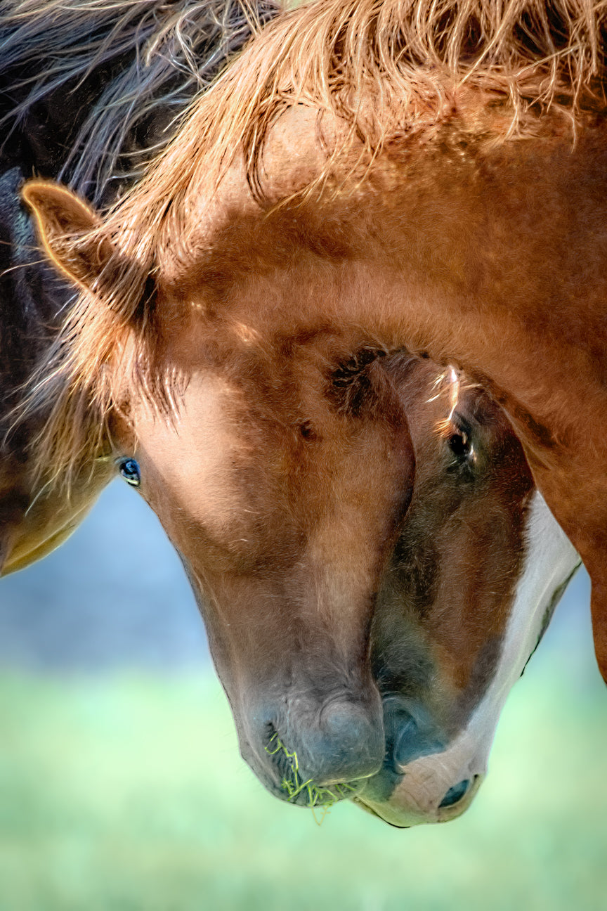 Two Hearts, One Beat