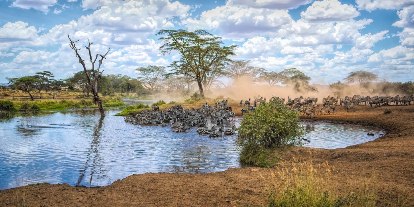 Water Hole Gathering