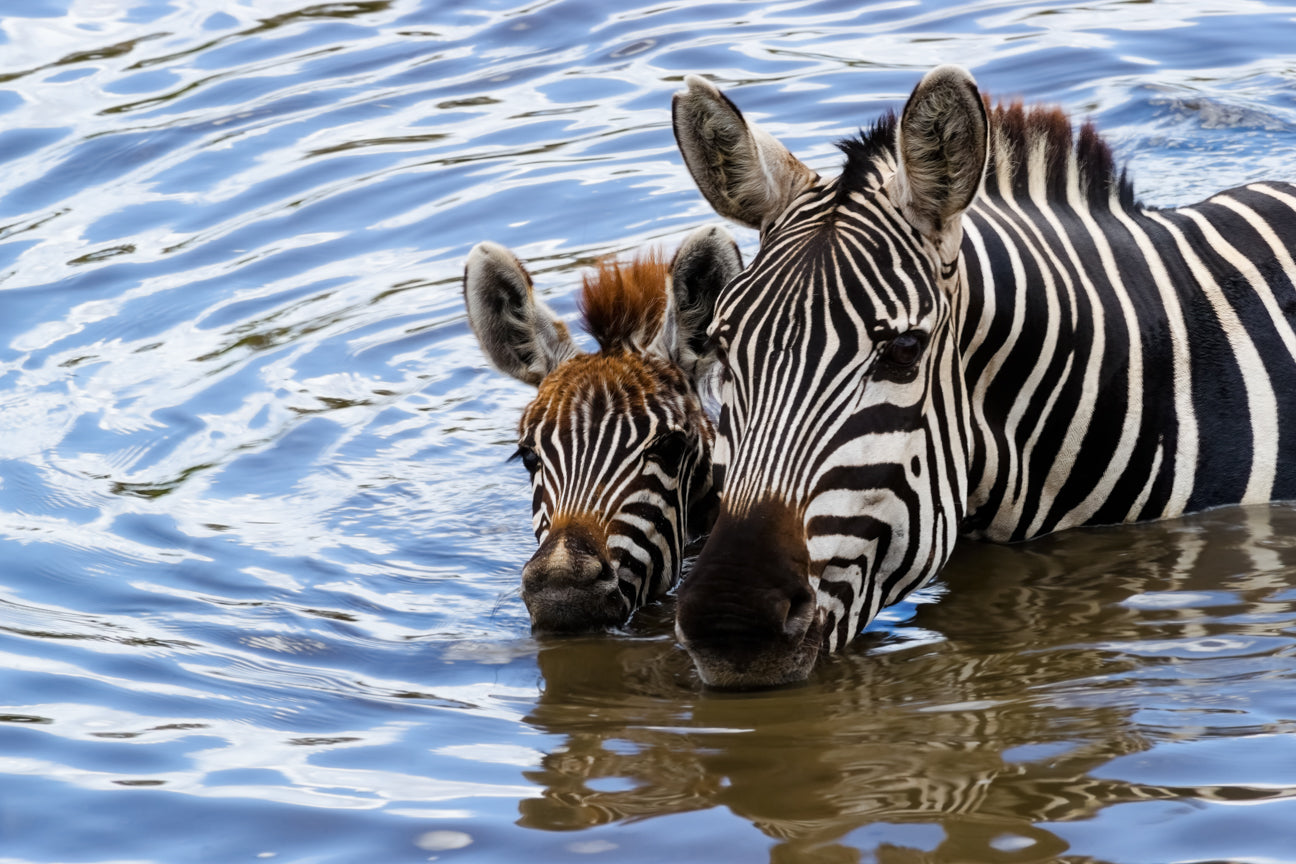Keeping Cool