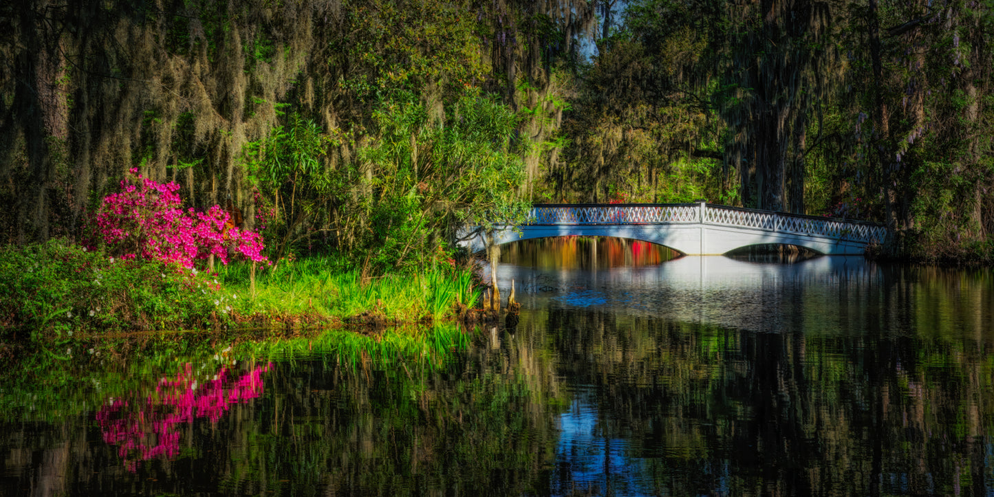 Magnolia Plantation