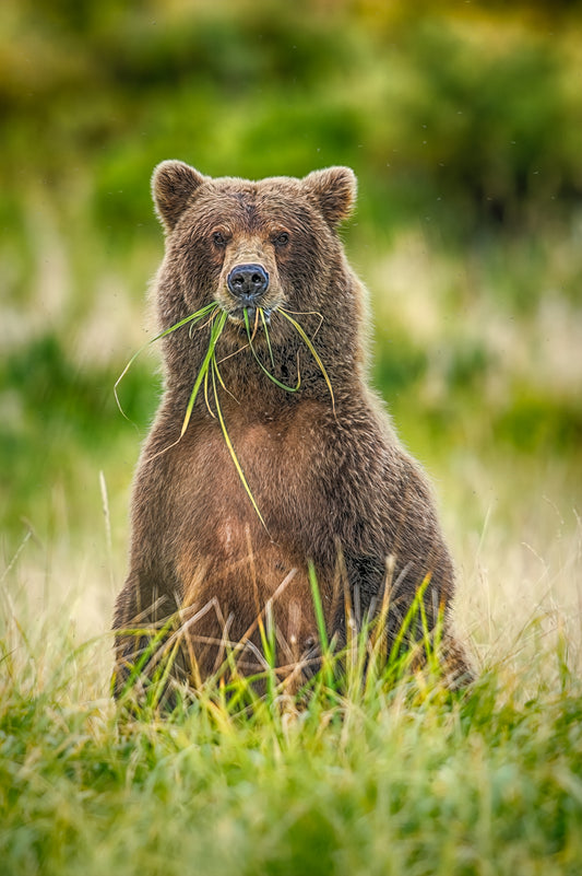 Grazing the Grass