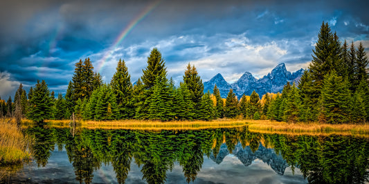 Schwabacher's Landing Rainbows