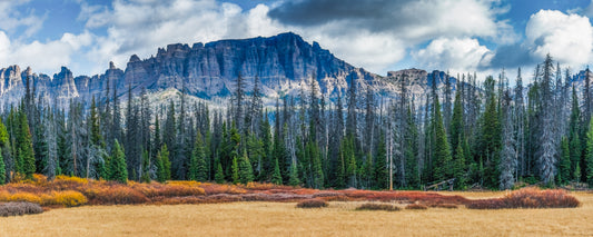 Gannett Peak