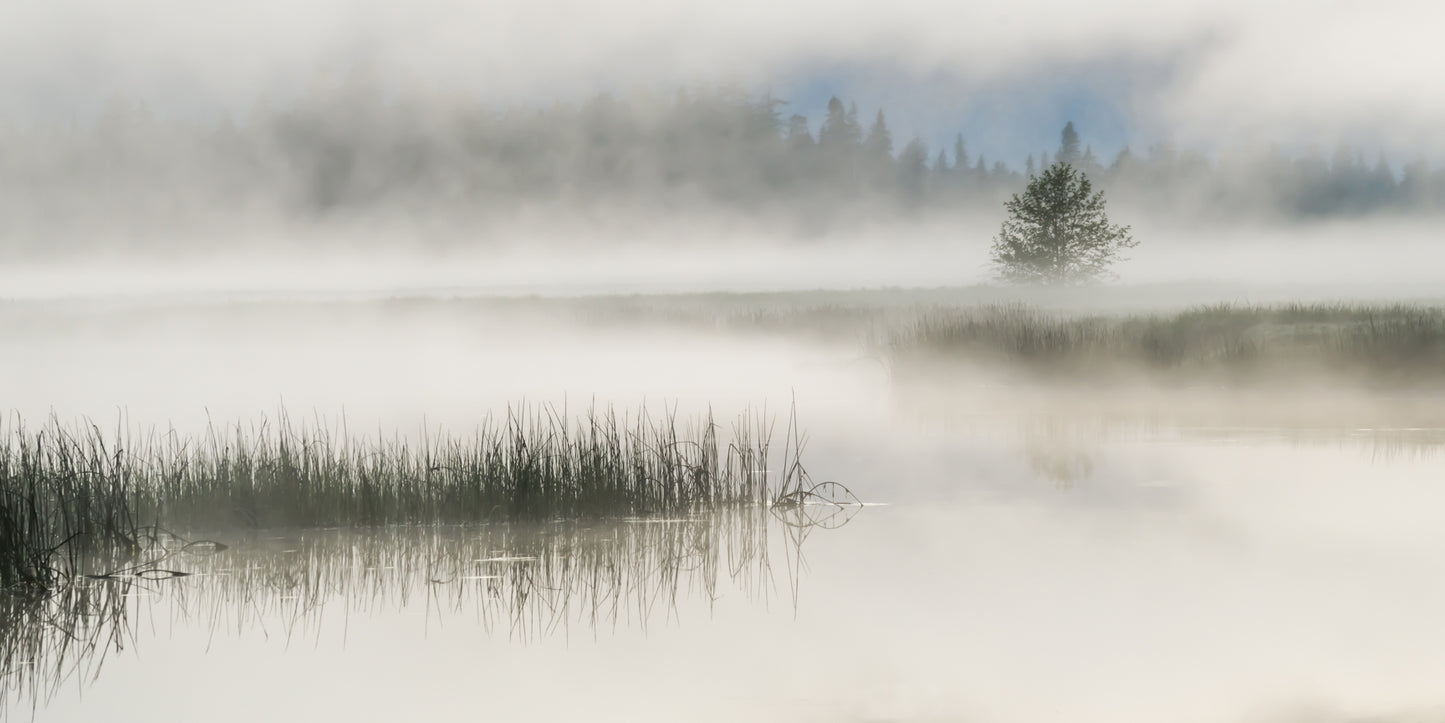 Mist on the Blind River