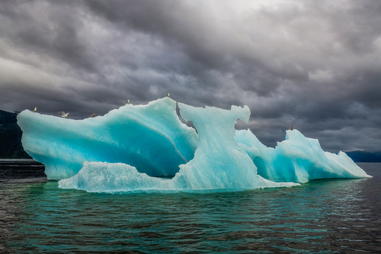 Ethereal Ice Whale