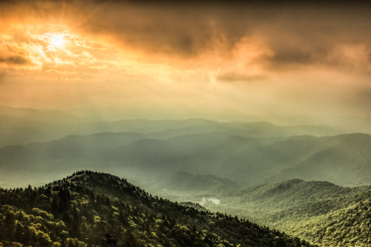 Golden Hour on Roan Mountain