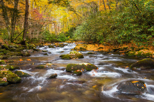 Oconaluftee River