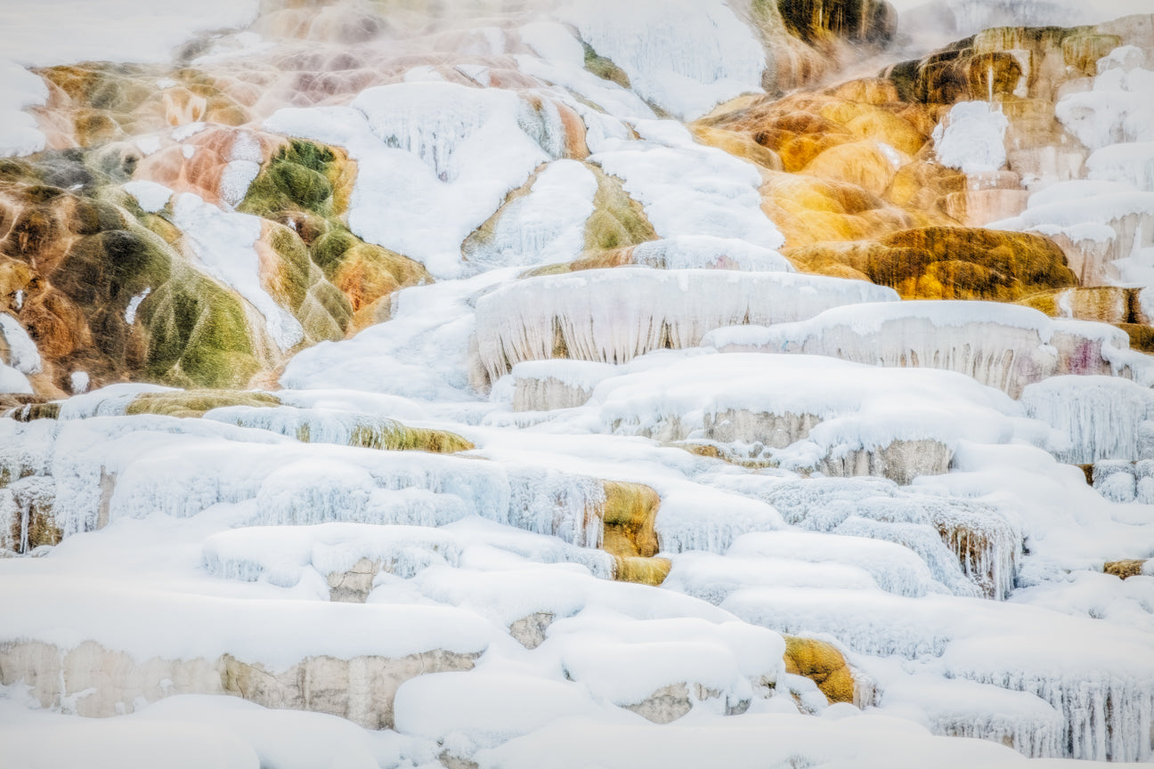 Mammoth Hot Springs