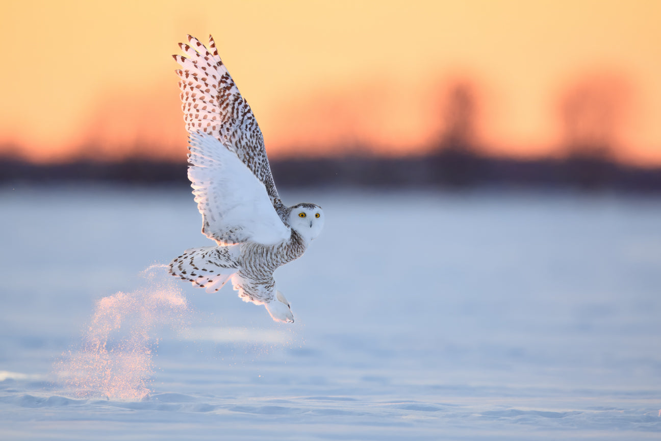 Takeoff