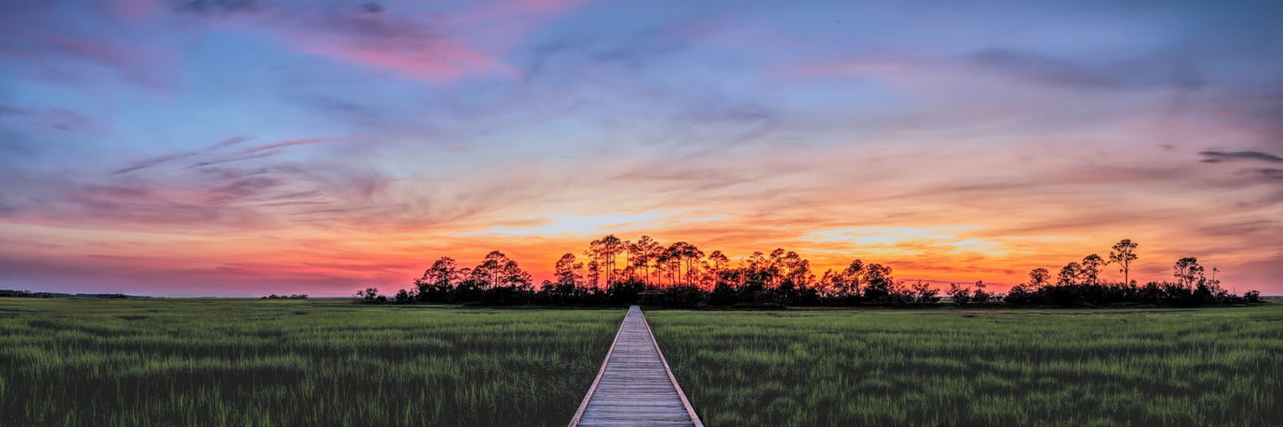 Marsh Boardwalk