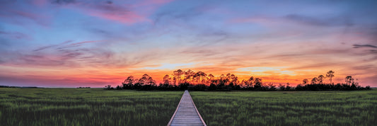 Marsh Boardwalk