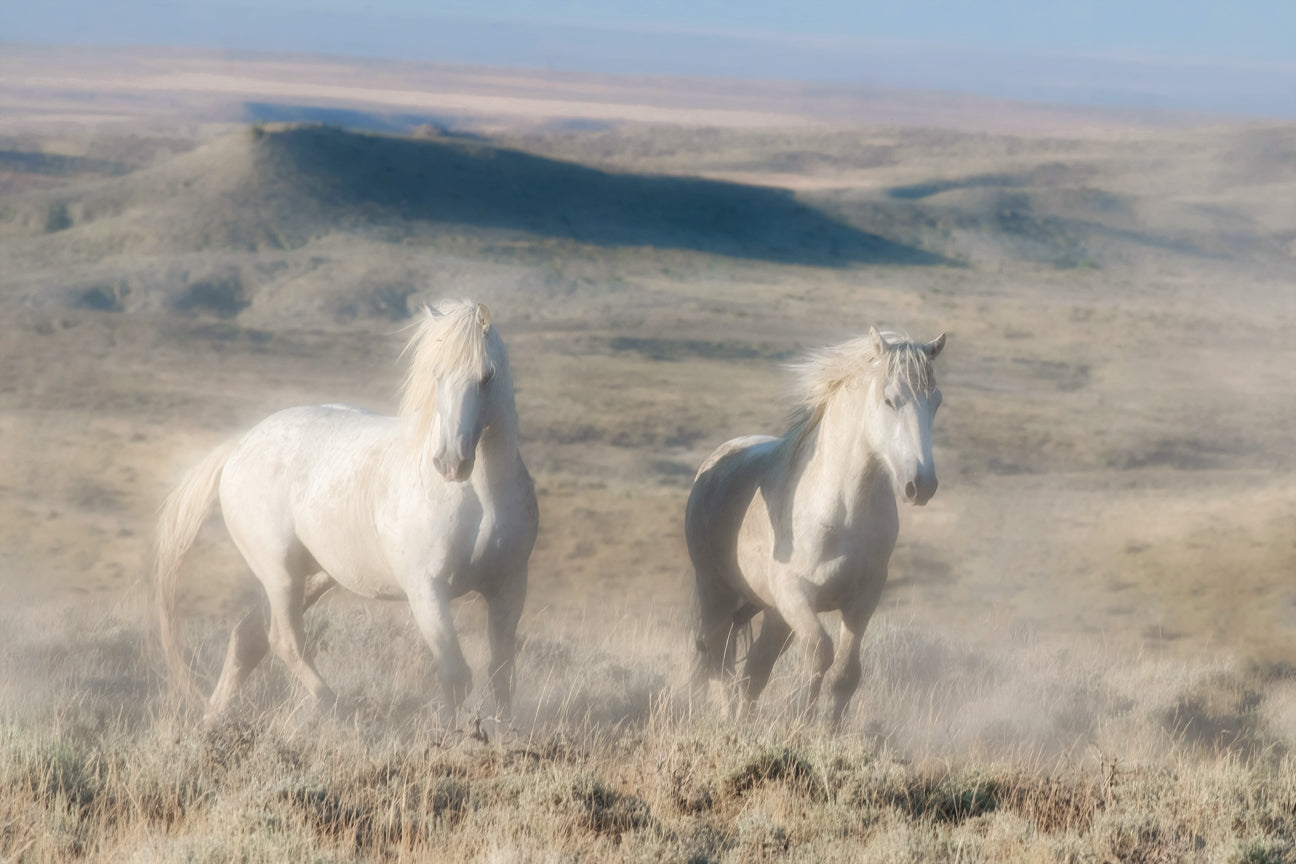 Phantoms of the High Plains