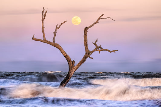 Full Moon at Boneyard Beach