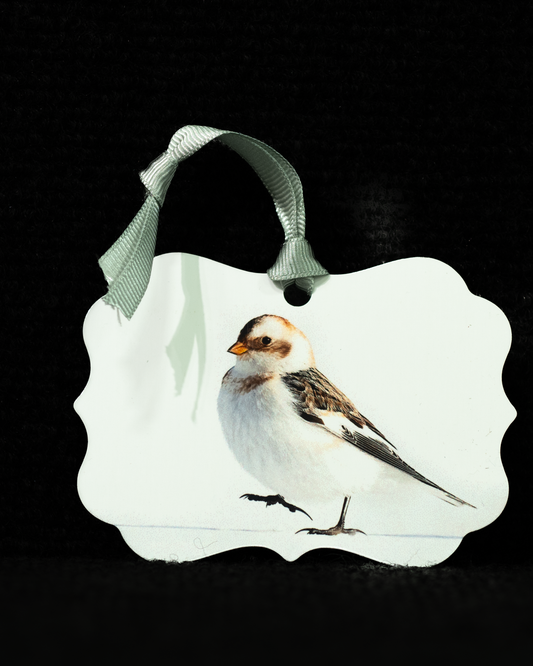 Snow Bunting