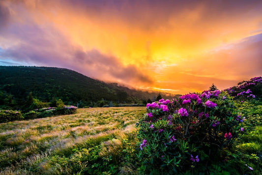 Carvers Gap Sunset