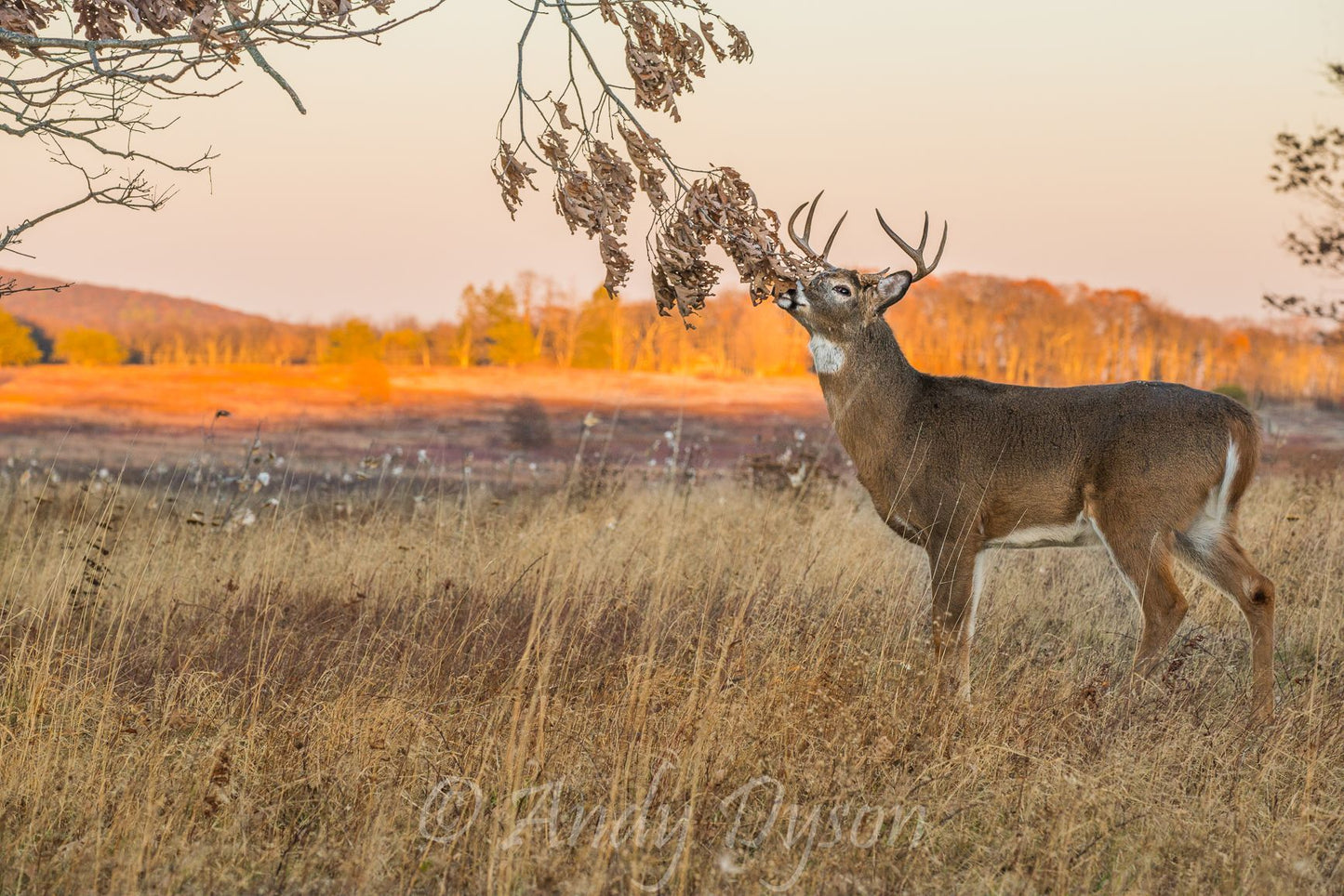 In The Rut