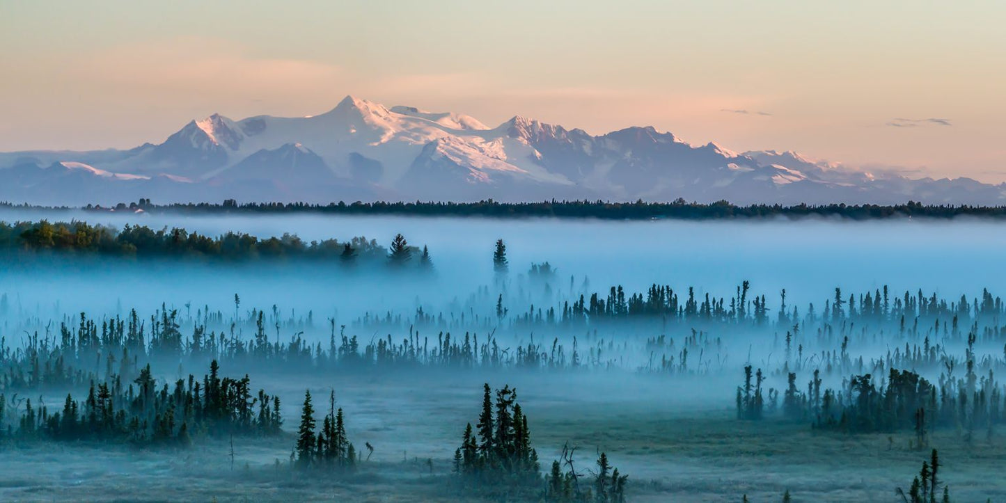 Foggy Morning