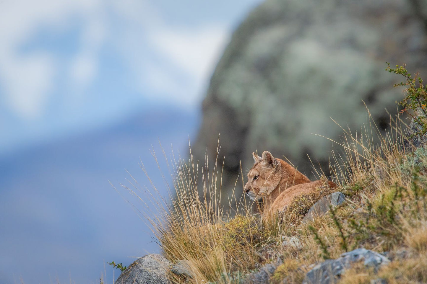 Watching the Valley