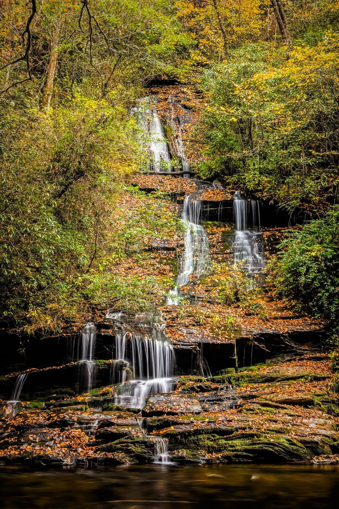 Tom Branch Falls